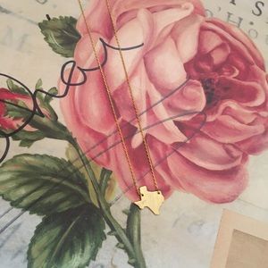 Texas necklace 🎉3 for 10🎉